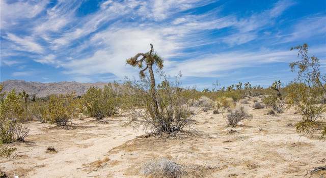 Photo of 6563 Saddleback Rd, Joshua Tree, CA 92252