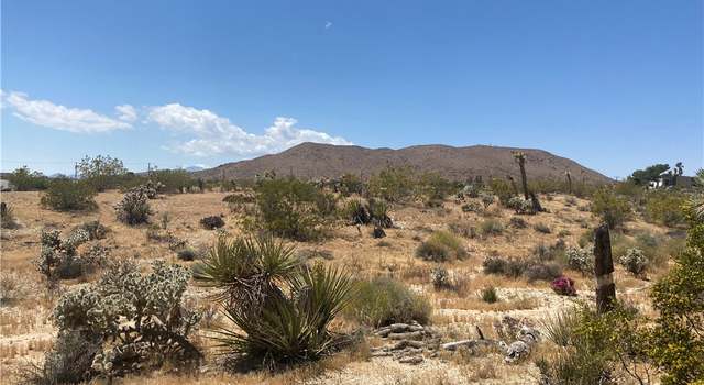Photo of 59136 Wilcox Ln, Yucca Valley, CA 92284