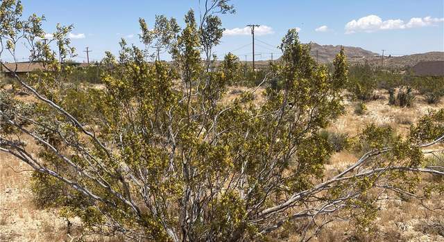 Photo of 59136 Wilcox Ln, Yucca Valley, CA 92284