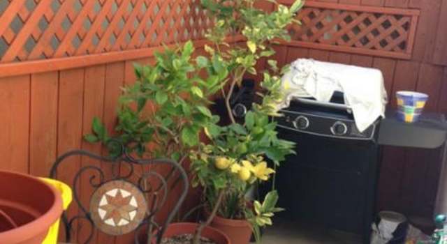 Photo of 311 S 5th St Unit F, Burbank, CA 91501