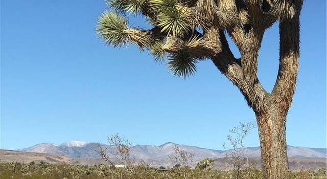 Photo of 0 La Crescenta Dr, Yucca Valley, CA 92284