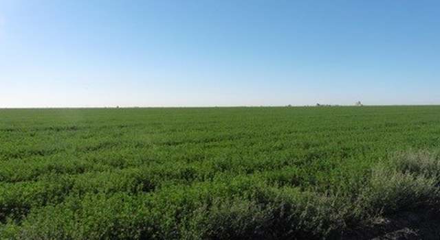 Photo of 0 000, Dos Palos, CA