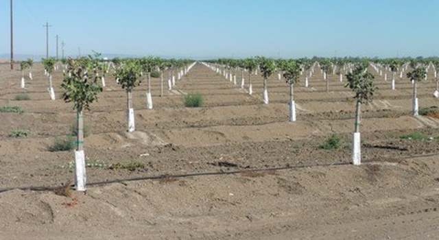 Photo of 0 000, Dos Palos, CA