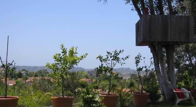 Photo of 7917 TERRAZA DISOMA, Carlsbad, CA 92009
