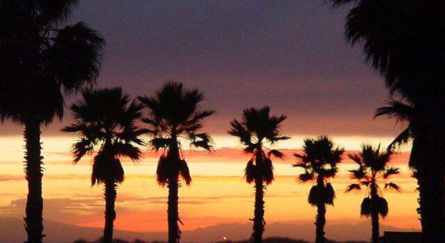 Photo of 2901 Peninsula Rd #141, Oxnard, CA 93035