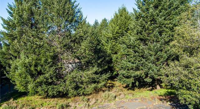 Photo of 11 Rich Cir, Unincorporated, CA 95589
