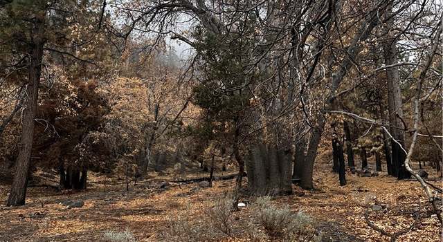 Photo of 0 Vac/Cardinal Rd, Wrightwood, CA 93544