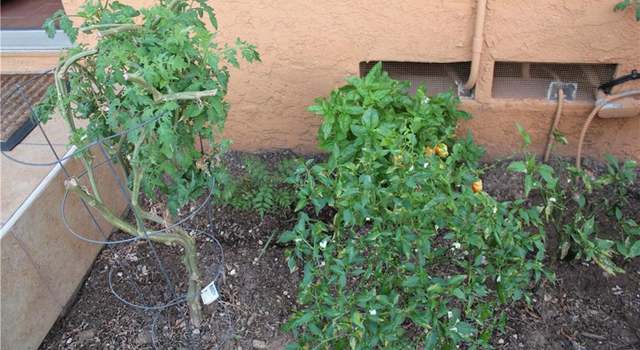 Photo of 10704 El Rancho Dr, Whittier, CA 90606
