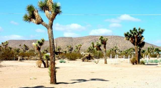 Photo of 5125 Marvin Dr, Yucca Valley, CA 92284