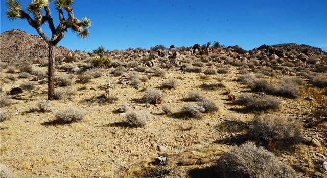 Photo of 8675 Tortuga Trl, Joshua Tree, CA 92252