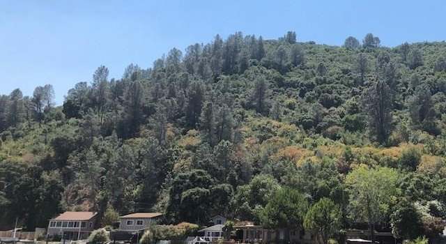 Photo of 6285 Soda Bay Rd, Kelseyville, CA 95451