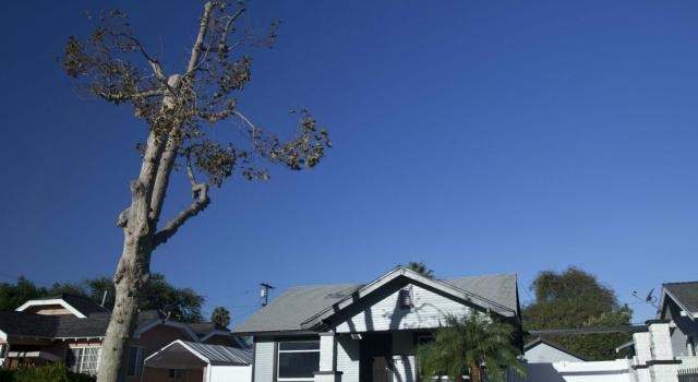 Photo of 2206 Maple St, Santa Ana, CA 92707