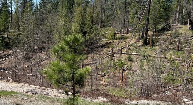 Photo of 6493 Greeley Hill Rd, Coulterville, CA 95311