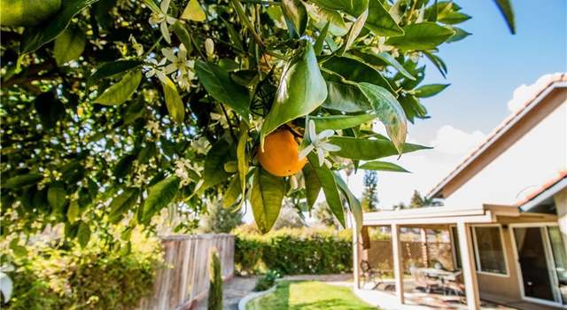 Photo of 33197 Lotus Ave, Yucaipa, CA 92399