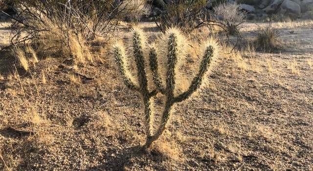 Photo of 6740 Sierra Ave, Joshua Tree, CA 92252