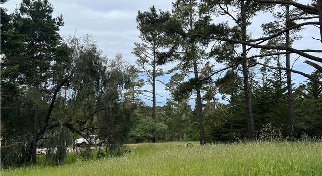 Photo of 0 Bradford Rd, Cambria, CA 93428