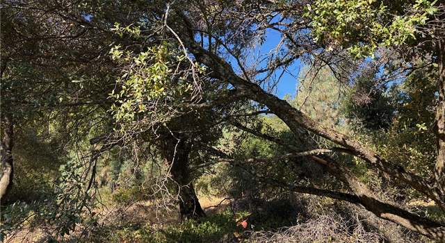 Photo of 12588 Widgeon Way, Clearlake Oaks, CA 95423