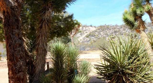 Photo of 7818 Valley Vista Ave, Yucca Valley, CA 92284