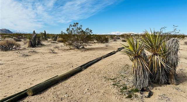 Photo of 1234 Desert Lily St, Joshua Tree, CA 92252