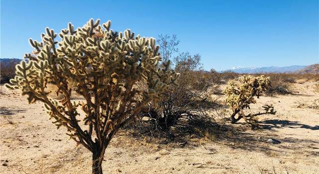 Photo of 5 Appian Way, 29 Palms, CA 92277