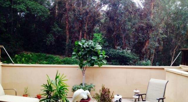 Photo of 708 Orangewood Ln, San Dimas, CA 91773