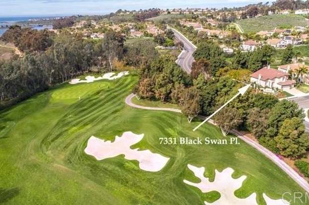 black swan golf course