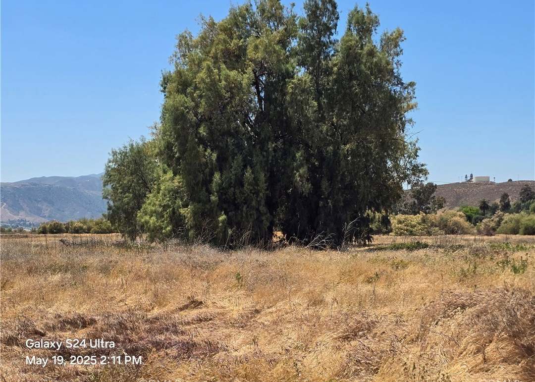 0 Herbert, Riverside, CA 92534