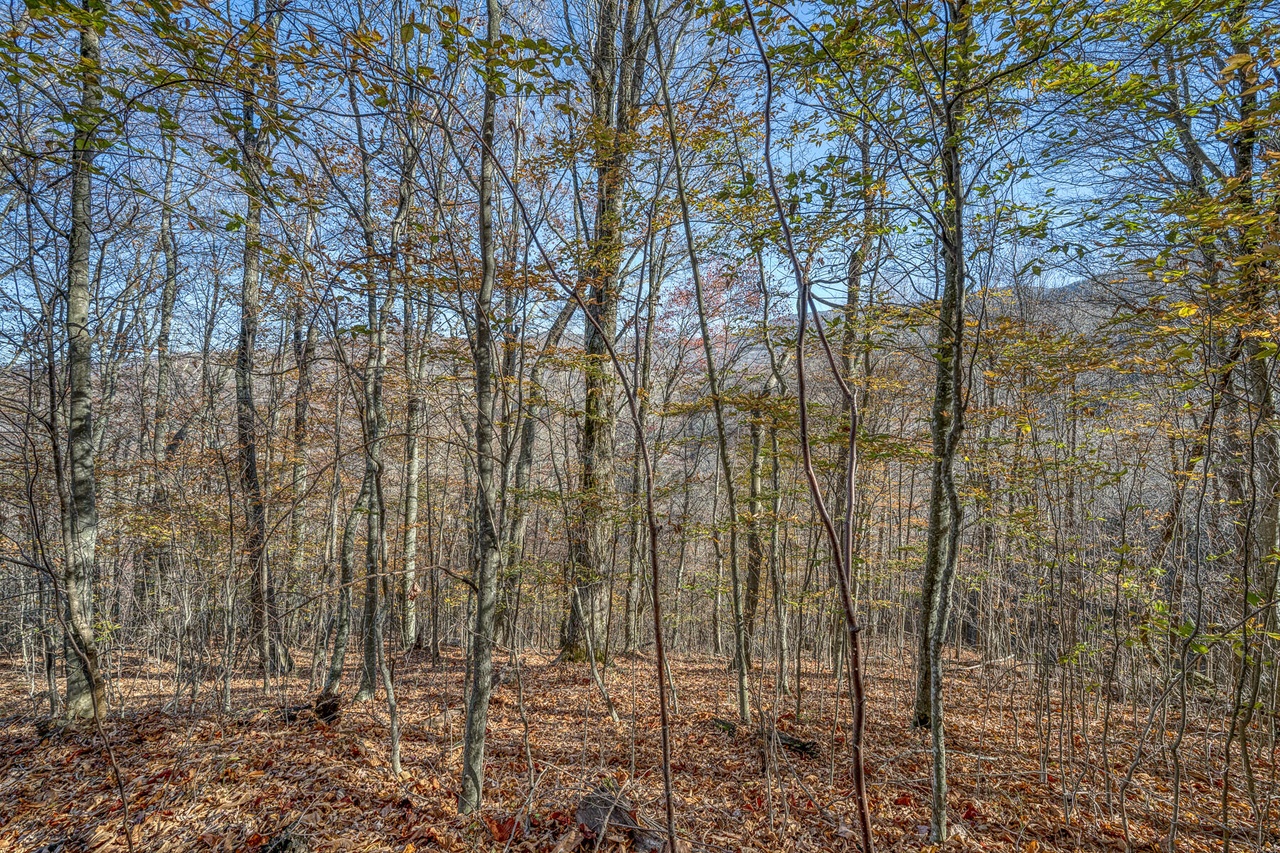 Lot 1 Timber Crest Dr, Roan Mountain, TN 37687 MLS 9959573 Redfin