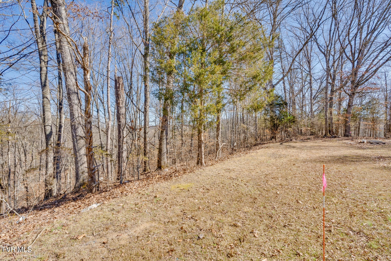 000 Devault Bridge Rd, Piney Flats, TN 37686 | MLS# 9961890 | Redfin