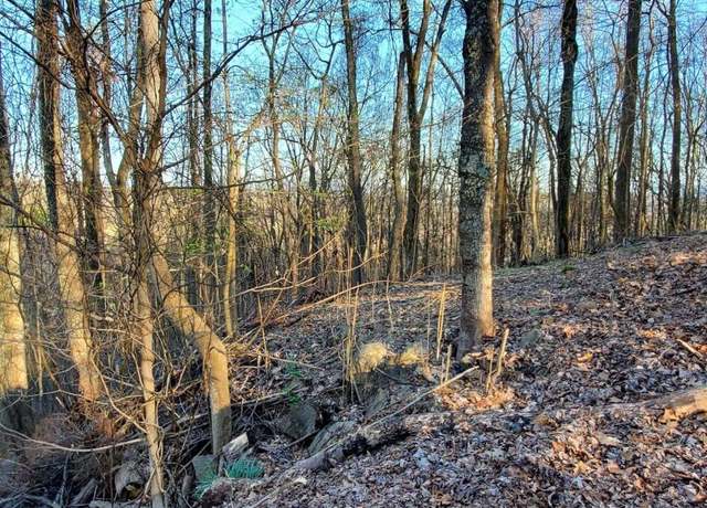 Property at 5312 Foxfire Pl, Kingsport, TN 37664