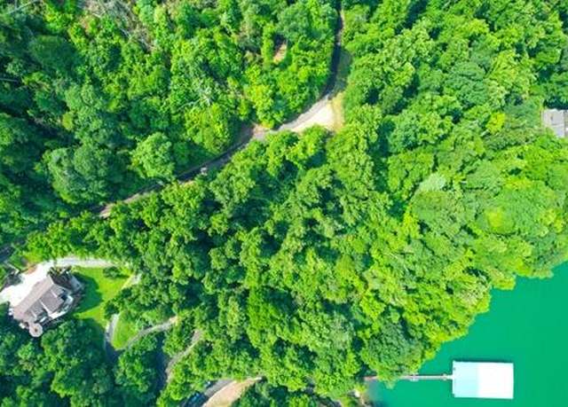 Property at Lot 14 Diamond Point Dr, Butler, TN 37640