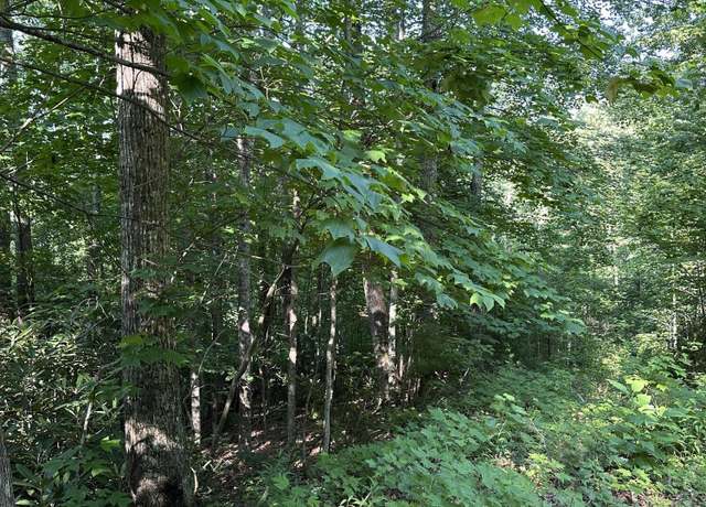 Property at 1501 Sprucy Ridge Private Rd, Mountain City, TN 37683