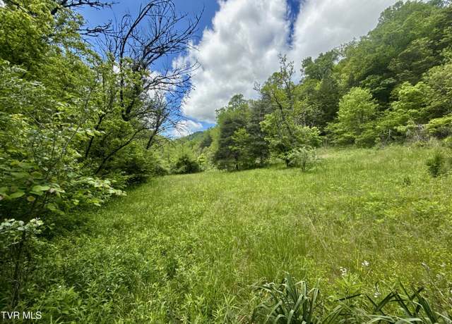 Property at 47/Ac Tbd Enoch Rd, Eidson, TN 37731