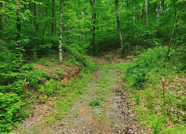 Property at 2065 Dyer Hollow Rd, Mohawk, TN 37810