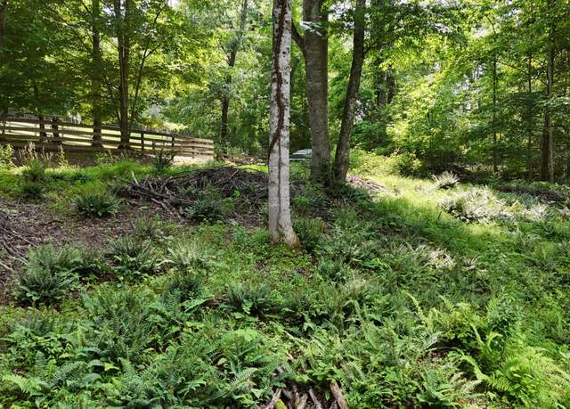 Property at Tr 1 Atwood Pt, Butler, TN 37640