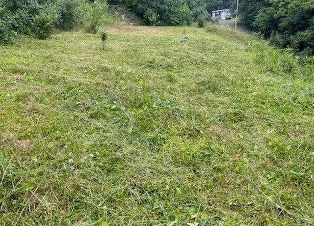 Property at 819 Doe Branch Br, Haysi, VA 24256