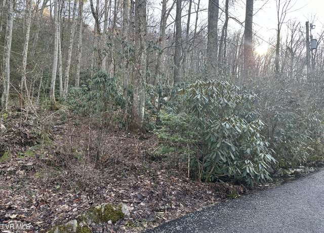 Property at Tbd 1st St, Norton, VA 24273