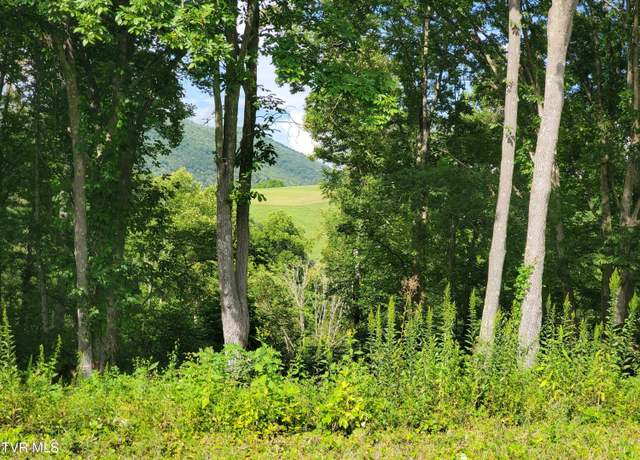 Property at Lot 36 West Of Dry Hl, Butler, TN 37640