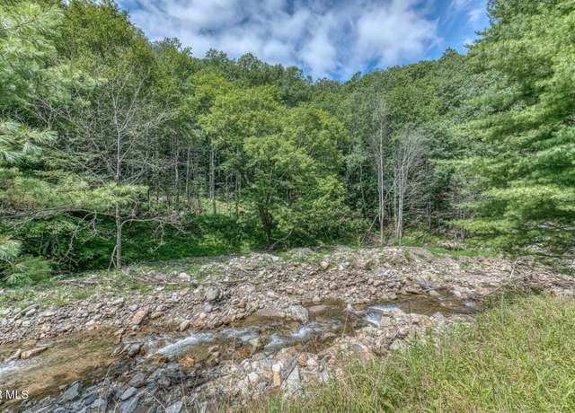 Property at 6826 Highway 421, Trade, TN 37691