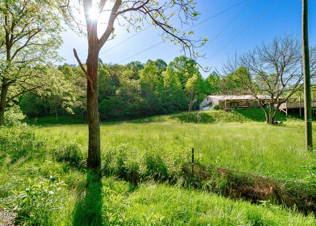 Property at 1668 Fowlers Br Rd, Hiltons, VA 24258