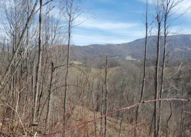 Property at Tbd Miller Rd, Trade, TN 37691
