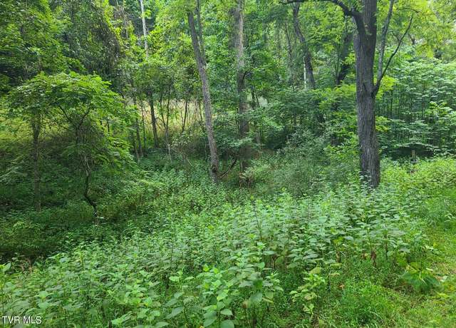 Property at 5 Fingers/forks Ln, Fort Blackmore, VA 24250