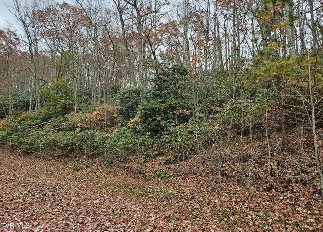 Property at Lot  17 Fox Hollow Dr, Tazewell, VA 24630