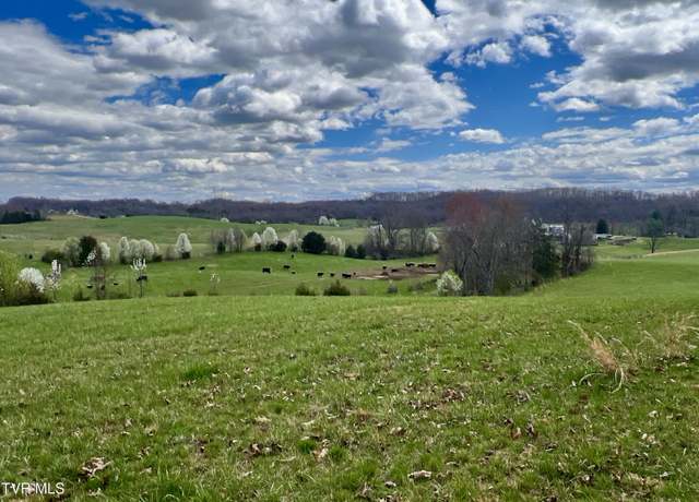 Property at 88/Ac Tbd Hwy 93, Fall Branch, TN 37656