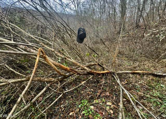 Property at 27.4/Ac Tbd Snake Hollow Rd, Sneedville, TN 37869