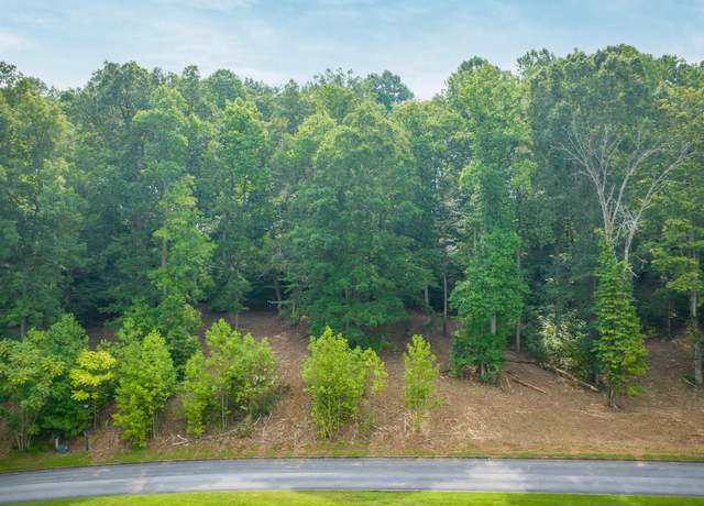 Property at Lot 36 Chimney Top Ln, Chuckey, TN 37641