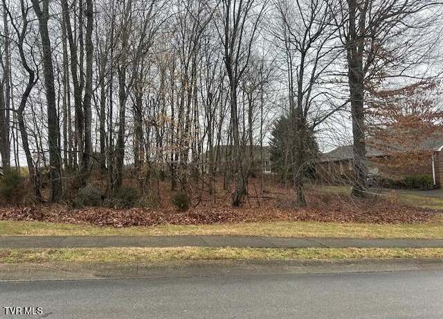 Property at 104 Forest Lane Ln S, Blountville, TN 37617