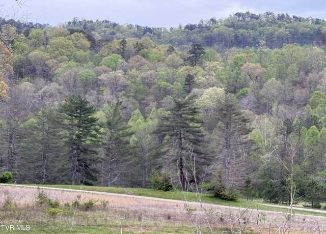 Property at 128 Elbow City Rd, Rogersville, TN 37857