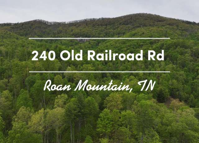 Property at 240 Old Railroad Grade Rd Rd, Roan Mountain, TN 37687