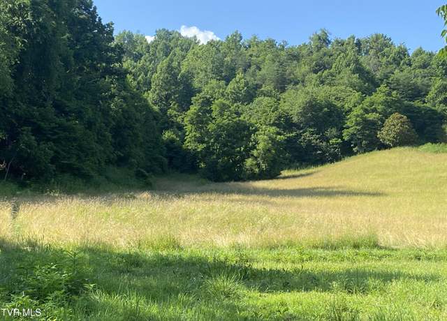Property at 0 Rich Valley (9.23 Ac) Rd, Abingdon, VA 24210
